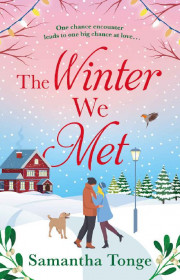 Capa do livor - The Winter We Met