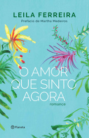 Capa do livor - O Amor que sinto agora