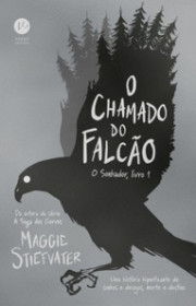 Capa do livor - Série O Sonhador 01 - O Chamado do Falcão