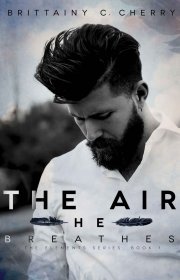 Capa do livor - The Elements Series 01 - The Air He Breathes