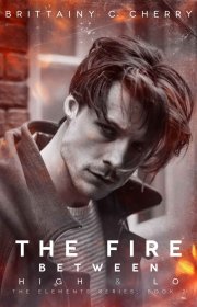 Capa do livor - The Elements Series 02 - The Fire Between High & L...