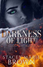 Capa do livor - Darkness Series 01 - Darkness Of Light