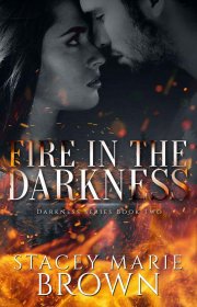 Capa do livor - Darkness Series 02 - Fire In The Darkness