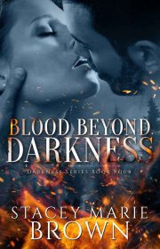 Capa do livor - Darkness Series 04 - Blood Beyond Darkness
