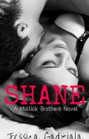 Capa do livor - Série Mallick Brothers 01 - Shane 