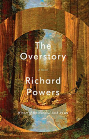 Capa do livor - The Overstory: A Novel