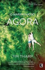 Capa do livor - O Maravilhoso Agora 