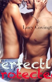 Capa do livor - Série Addicted To You 03 - Perfectly Protected