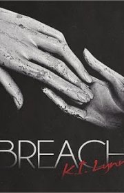 Capa do livor - Série Breach 01 - Breach