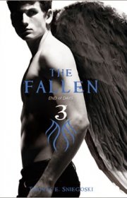 Capa do livor - Série The Fallen 03 - End of Days