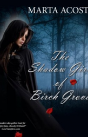 Capa do livor - The Shadow Girl of Birch Grove