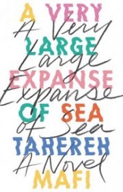 Capa do livor - A Very Large Expanse of Sea