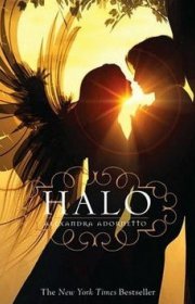 Capa do livor - Série Halo 01 - Halo