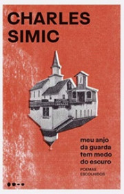 Capa do livor - Meu Anjo da Guarda tem Medo do Escuro