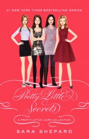 Capa do livor - Série Pretty Little Liars 04.5 - Pequenos Segredos