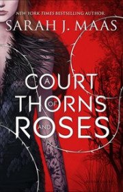 Capa do livor - A Court of Thorns and Roses Series 01 - A Court of...